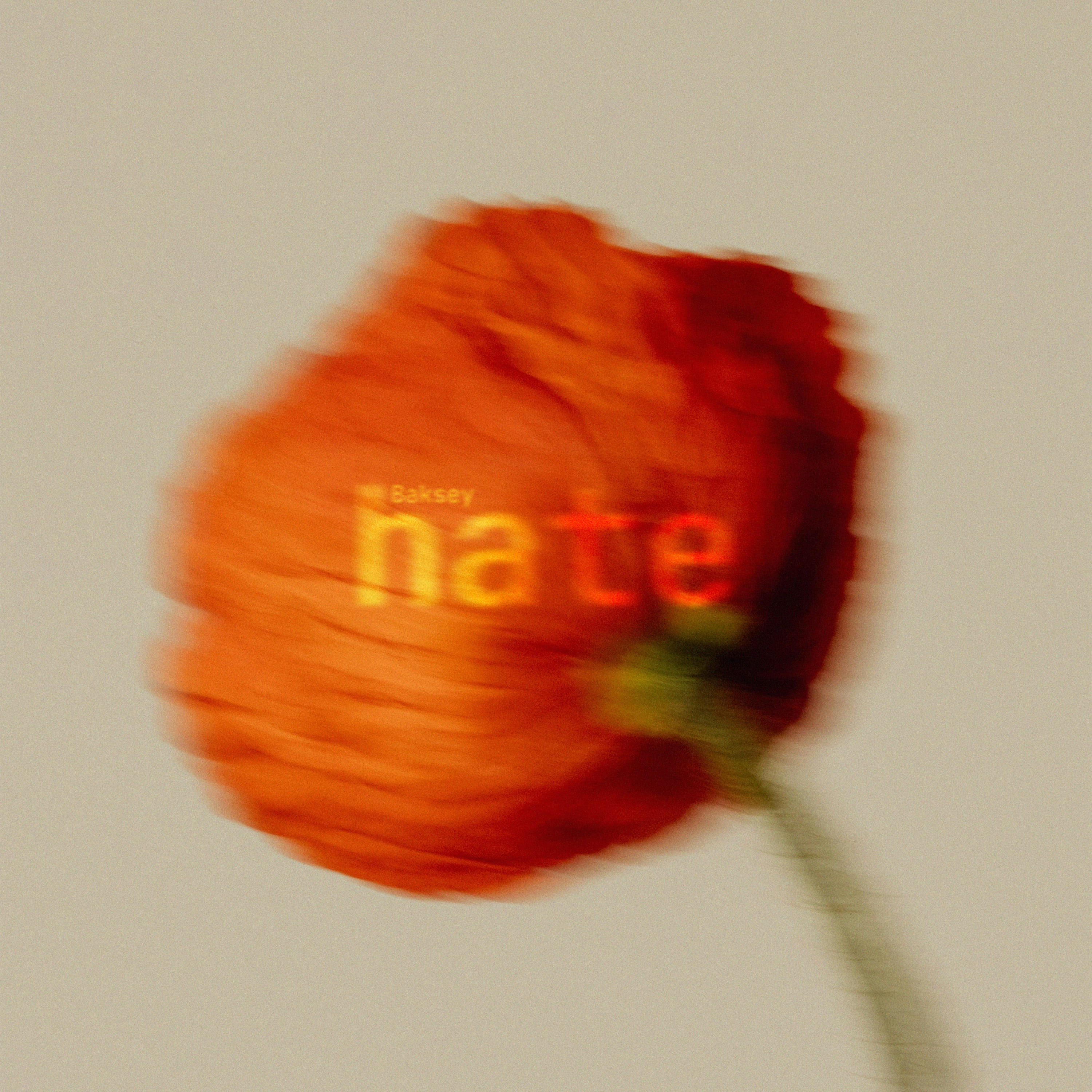 BAKSEY — HATE cover